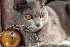 Un teaser pour un smartphone Redmi avec un appareil photo de 64 mégapixels