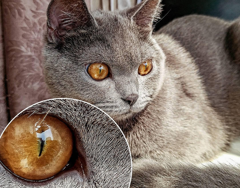 Un teaser pour un smartphone Redmi avec un appareil photo de 64 mégapixels