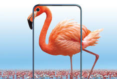 TECNO Mobile a présenté un autre smartphone CAMON 12 Air jusqu'à 10 000 roubles