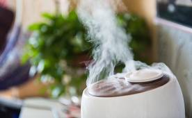 The best humidifiers of 2020