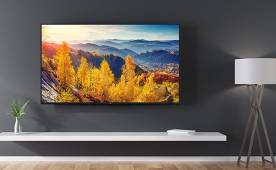The best 4K TVs of 2020