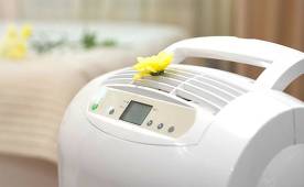 The best air purifiers of 2020