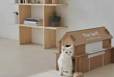 La qualité dans les petites choses: les boîtiers Samsung reçoivent les CES Innovation Awards