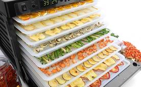 The best dryers for fruits and vegetables of 2020