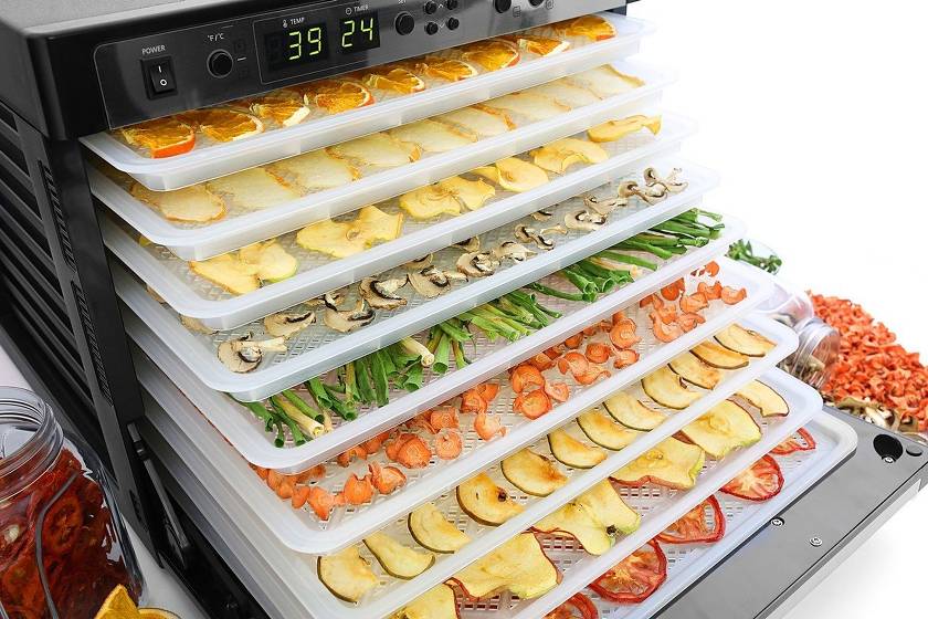 Les meilleurs séchoirs pour fruits et légumes de 2020