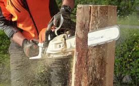 The best chainsaws of 2020