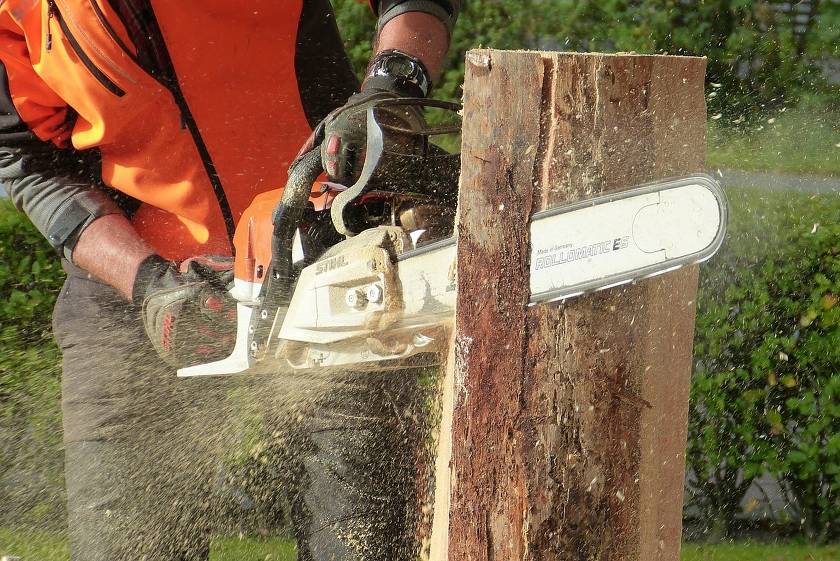 The best chainsaws of 2020
