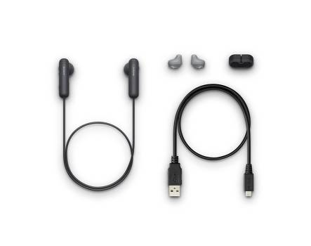 Sony WI-SP500