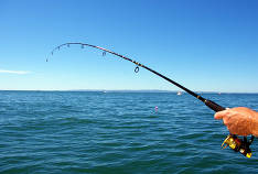 Οι καλύτερες περιστρεφόμενες ράβδους του 2020