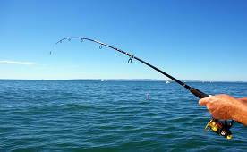 The best spinning rods of 2020