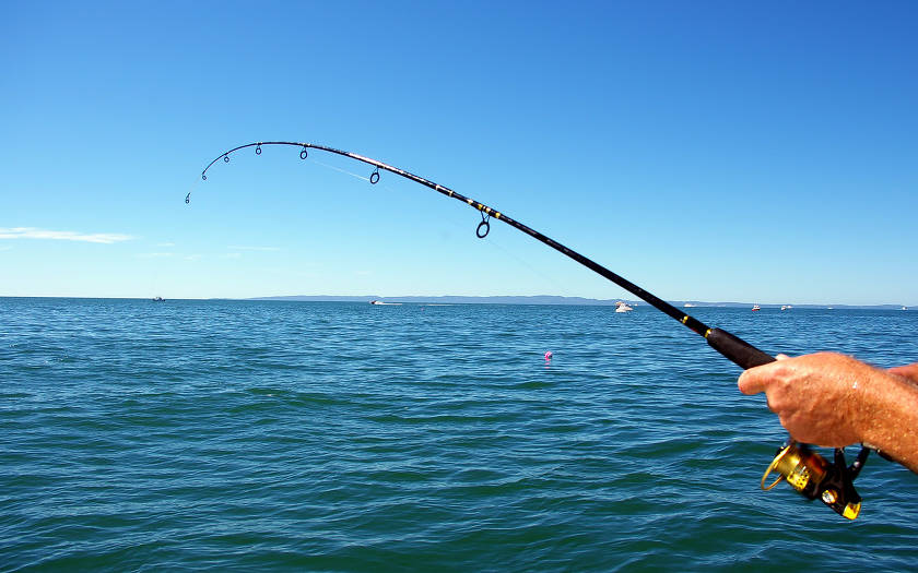 The best spinning rods of 2020