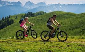 The best electric bikes of 2020