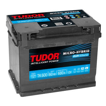 Tudor agm