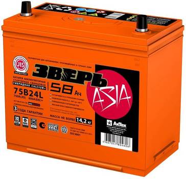 Beast (ZV) 55AZ