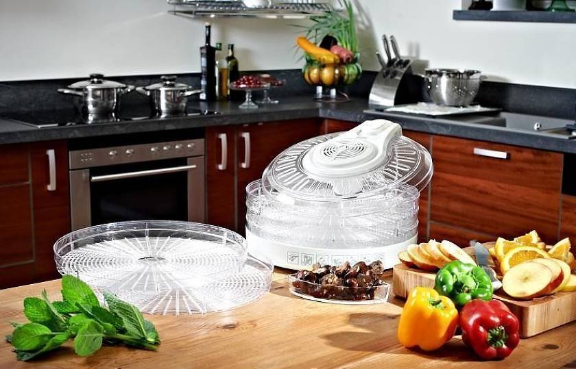 Best vegetable dryers of 2018