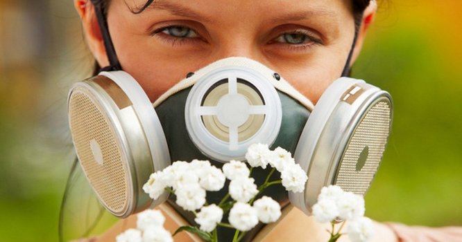 Le meilleur choix pour les personnes allergiques