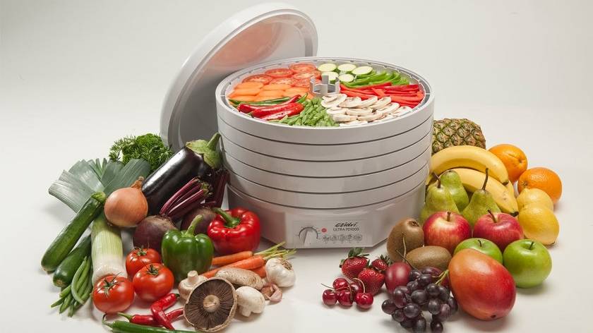Comment choisir un séchoir pour fruits et légumes?
