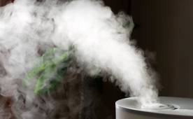 How to choose a humidifier?