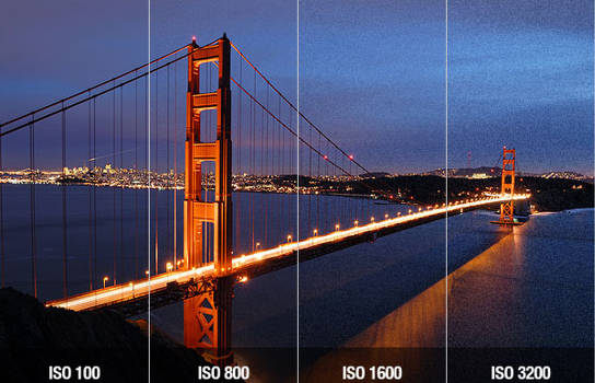 ISO sensitivity