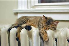 Meilleurs radiateurs de 2019