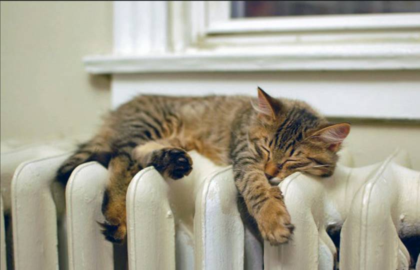 Best heaters of 2019
