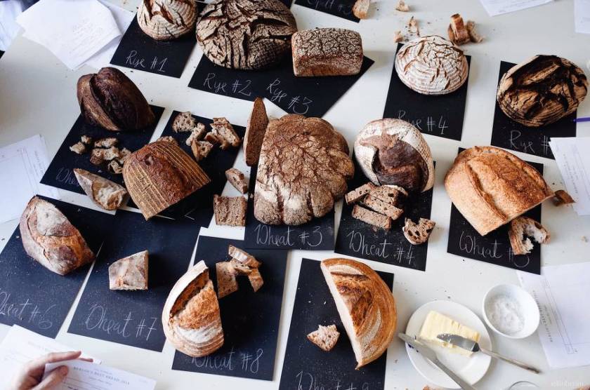 The best bread makers of 2019