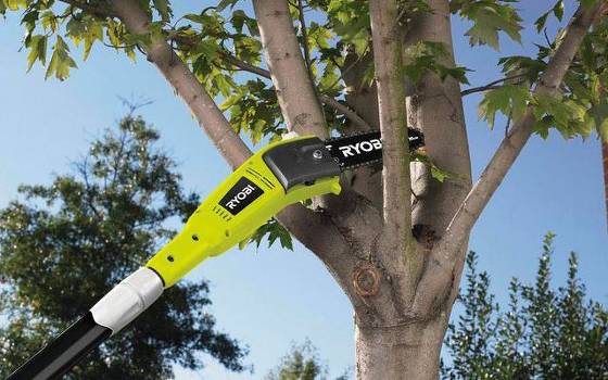 Ryobi RPP750S