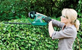 The best brush cutters of 2020
