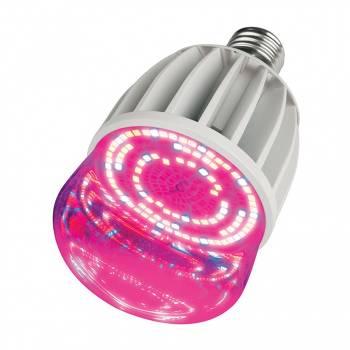 UNIEL LED-M80