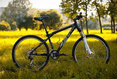 Les meilleurs VTT de 2019