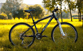 The best mountain bikes of 2019